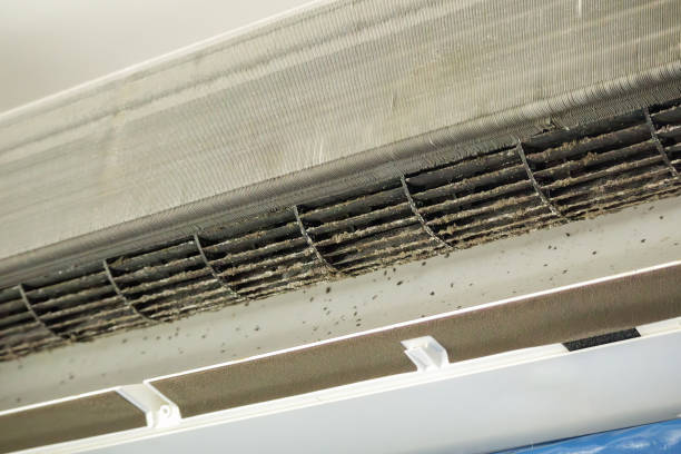 Best Air Duct Cleaning Company Near Me  in Centre Grove, NJ