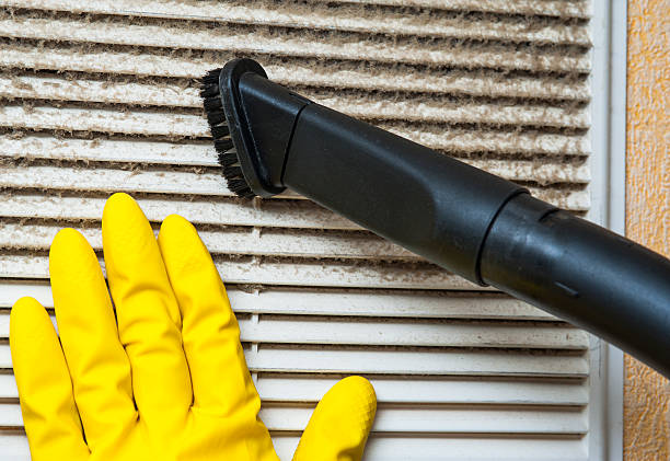 Air Duct Mold Removal in NJ